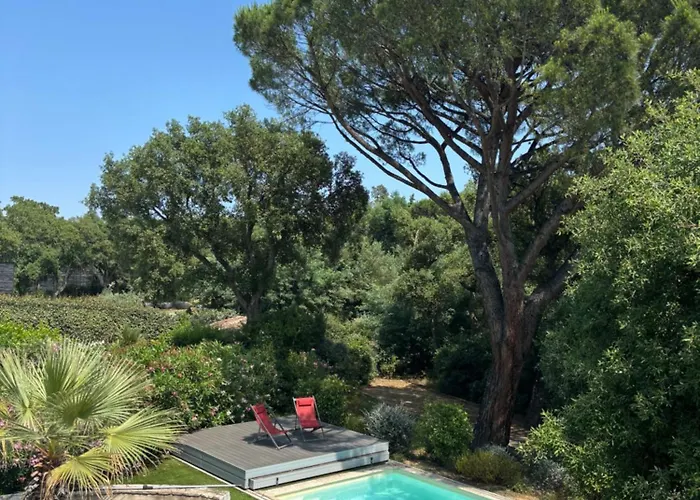Villa Provencale Golfe De Beauvallon
